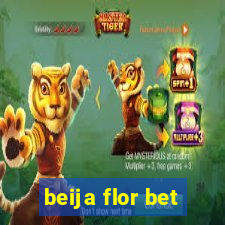 beija flor bet